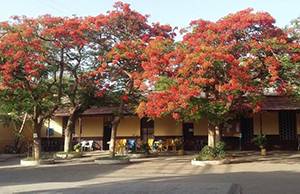 Alliance Ethio-Francaise